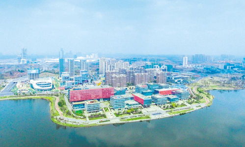 圖讀2021年成都市產(chǎn)業(yè)生態(tài)圈規(guī)劃——計(jì)算機(jī)網(wǎng)絡(luò)技術(shù)開發(fā)領(lǐng)域重點(diǎn)解析